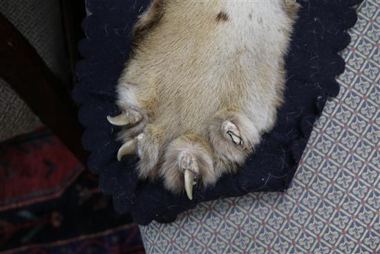 A tiger skin rug, complete with head and claws